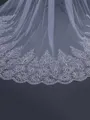 Graceful Tulle With Lace Long Wedding Veils
