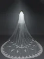 Brilliant Tulle With Lace Long Wedding Veils