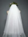 Brilliant Tulle With Lace Long Wedding Veils