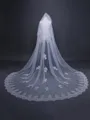 Charming Tulle With Lace Long Wedding Veils