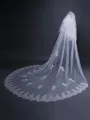 Charming Tulle With Lace Long Wedding Veils