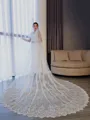 Luxurious Tulle With Lace Long Wedding Veils