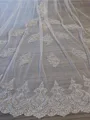 Luxurious Tulle With Lace Long Wedding Veils