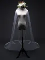 Attractive Tulle With Lace Wedding Veils