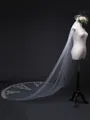 Attractive Tulle With Lace Wedding Veils