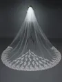 Charming Tulle With Lace Long Wedding Veils