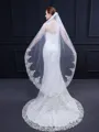Beautiful Tulle With Lace Wedding Veils
