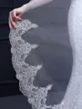 Beautiful Tulle With Lace Wedding Veils