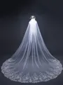 Gorgeous Tulle With Lace Long Wedding Veils