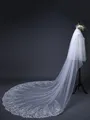 Gorgeous Tulle With Lace Long Wedding Veils