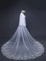 Gorgeous Tulle With Lace Long Wedding Veils