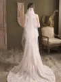 Stunning Tulle Two-Tier Waltz Bridal Veils With Applique