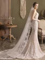 Elegant Tulle One-Tier Chapel Bridal Veils With Applique