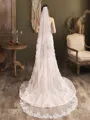 Elegant Tulle One-Tier Chapel Bridal Veils With Applique