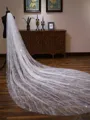 Luxurious Tulle One-Tier Cathedral Bridal Veils With Sequins