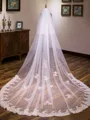 Pretty Tulle Two-Tier Cathedral Bridal Veils With Applique