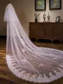 Pretty Tulle Two-Tier Cathedral Bridal Veils With Applique