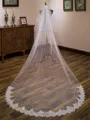 Delicate Tulle Two-Tier Cathedral Bridal Veils With Applique