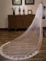 Delicate Tulle Two-Tier Cathedral Bridal Veils With Applique