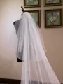 Delicate Tulle Two-Tier Cathedral Bridal Veils With Applique