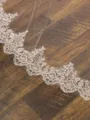 Delicate Tulle Two-Tier Cathedral Bridal Veils With Applique