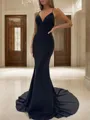 Sheath/Column V-Neck Sleeveless Sweep Train Stretch Crepe Clean-lined Prom Dress