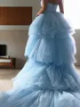 A-line Princess Stylish Sweetheart Sleeveless Sweep Train Tulle Prom Dress
