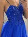 A-line Princess Spaghetti Straps Delicate Sleeveless Sweep Train Tulle Prom Dress