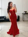 Sheath/Column Spaghetti Straps Sleeveless Sweep Train Classic Corset Prom Dress