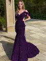 Sheath/Column Shimmery V-Neck Sleeveless Court Train Velvet Sequins Prom Dress