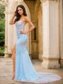 Sheath/Column V-Neck Contemporary Sleeveless Court Train Tulle Prom Dresses