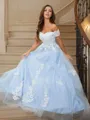A-line Off-the-Shoulder Sleeveless Delicate Sweep Train Tulle Prom Dresses