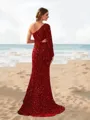 Sheath/Column One-Shoulder Shiny Long Sleeves Sweep Train Velvet Sequins Prom Dresses