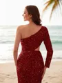 Sheath/Column One-Shoulder Shiny Long Sleeves Sweep Train Velvet Sequins Prom Dresses