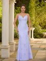 Sheath/Column V-Neck Unadorned Sleeveless Floor-Length Tulle Prom Dresses