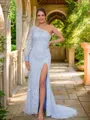 Sheath/Column One-Shoulder Timeless Long Sleeves Sweep Train Tulle Prom Dresses
