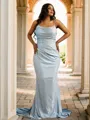 Sheath/Column Spaghetti Straps Sleeveless Sweep Train Trendy Open Back Prom Dresses