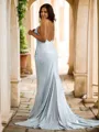 Sheath/Column Spaghetti Straps Sleeveless Sweep Train Trendy Open Back Prom Dresses