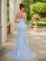 Sheath/Column V-Neck Straight-cut Sleeveless Sweep Train Tulle Prom Dresses