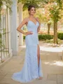 Sheath/Column V-Neck Straight-cut Sleeveless Sweep Train Tulle Prom Dresses