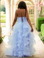 A-line Halter Modest Sleeveless Floor-Length Tulle Prom Dresses