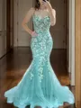 Fashion Sheath/Column V-neck Sweep Train Tulle Corset Prom Dress With Appliques Lace