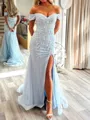 Fashion Sheath Off-the-Shoulder Appliques Lace Sweep Train Tulle Prom Dress