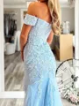 Fashion Sheath Off-the-Shoulder Appliques Lace Sweep Train Tulle Prom Dress