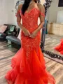 Elegant Mermaid Off-the-Shoulder Appliques Lace Floor-Length Tulle Corset Prom Dress