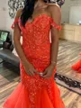 Elegant Mermaid Off-the-Shoulder Appliques Lace Floor-Length Tulle Corset Prom Dress