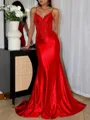 Trendy Sheath Spaghetti Straps Appliques Lace Sweep Train Corset Prom Dress