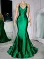 Luxurious Sheath V-Neck Pleated Floor-Length Corset Prom Dress