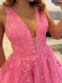 Delicate A-line V-Neck Appliques Lace Court Train Tulle Corset Prom Dress