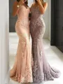 Sheath/Column Spaghetti Straps Sleeveless Sweep Train Mesmerizing Tulle Evening Dress With Lace